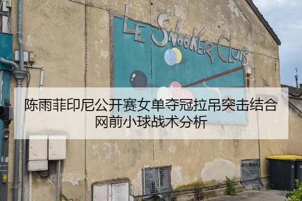 陈雨菲印尼公开赛女单夺冠拉吊突击结合网前小球战术分析