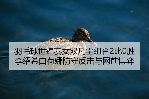 羽毛球世锦赛女双凡尘组合2比0胜李绍希白荷娜防守反击与网前博弈