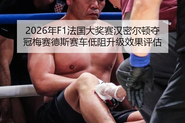 nian-fa-guo-da-jiang-sai-han-mi-er-dun-duo-guan-mei-sai-de-si-sai-che-di-zu-sheng-ji-xiao-guo-ping-gu-3-598.jpg