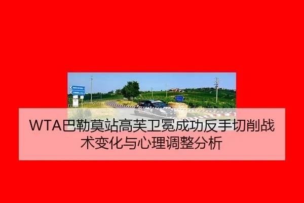 ba-lei-mo-zhan-gao-fu-wei-mian-cheng-gong-fan-shou-qie-xiao-zhan-shu-bian-hua-yu-xin-li-tiao-zheng-fen-xi-3-318.jpg
